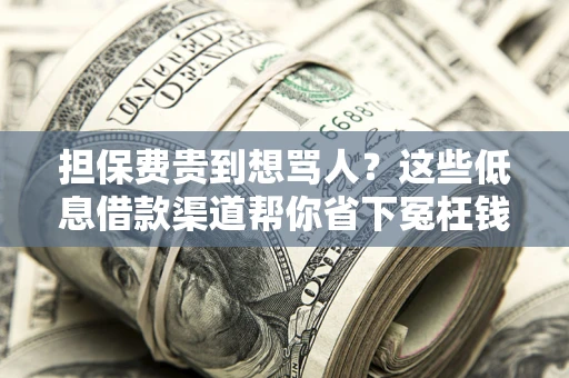 济南担保费贵到想骂人？这些低息借款渠道帮你省下冤枉钱