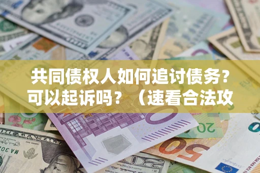 济南共同债权人如何追讨债务？可以起诉吗？（速看合法攻略）